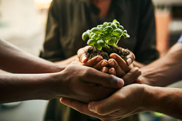 Closeup shot of a group of unidentifiable people holding a plant growing in soil